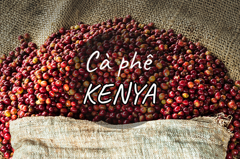 Hương vị cà phê Kenya