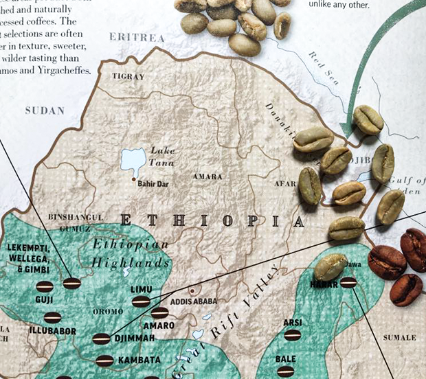Cà phê Ethiopia trên thế giới