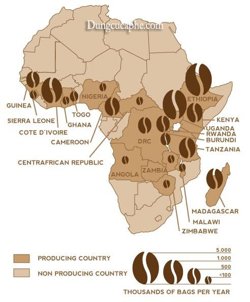 Các quốc gia trồng cà phê ở Châu Phi
