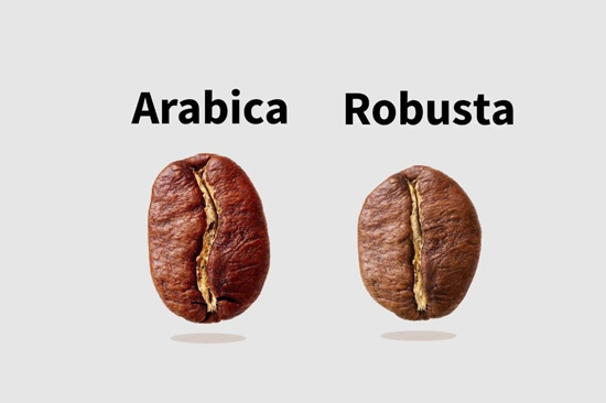 arabica & robusta