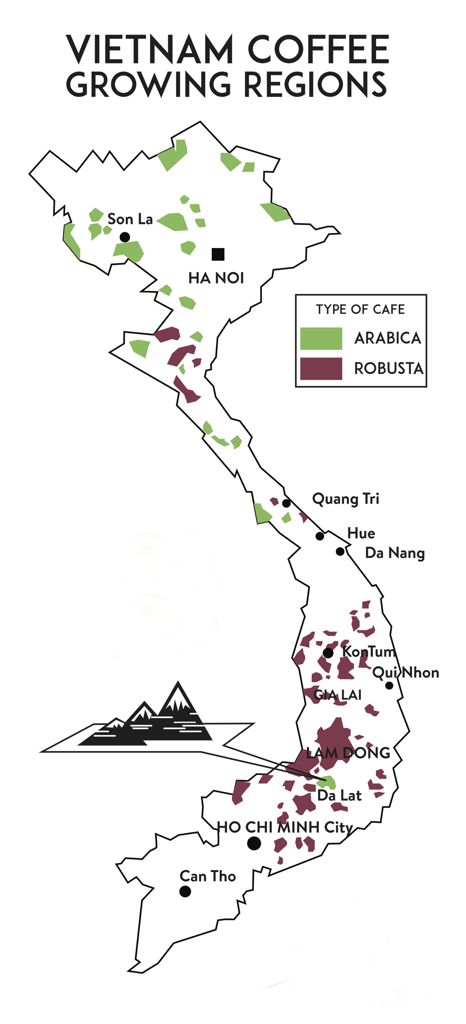 khu vực trồng robusta ở Việt Nam