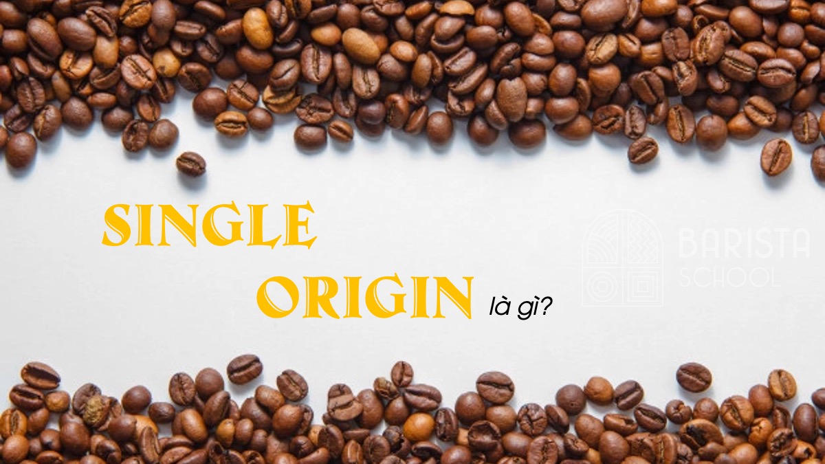 single origin cà phê bản địa