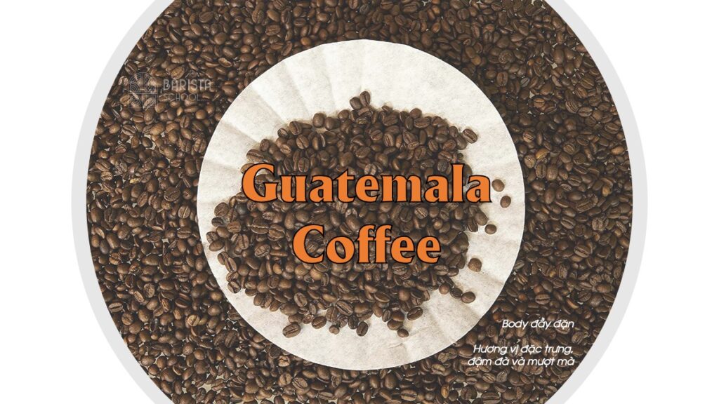 Guatemala Coffee là một cà phê chất lượng cao