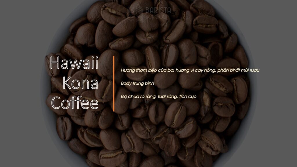 Hawaii Kona - một loại cà phê ngon