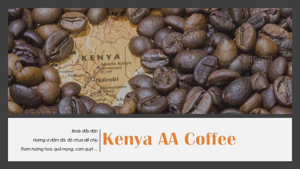 Kenya AA Coffee luôn ngon