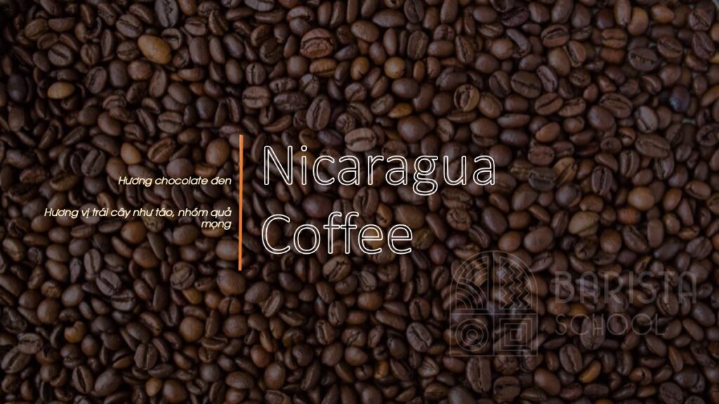 Nicaragua Coffee cà phê mới nổi ngon nhất