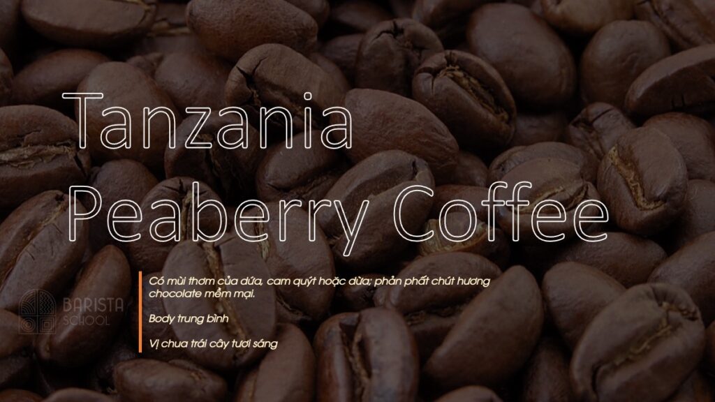 Tanzania Peaberry Coffee là một trong số cà phê ngon nhất thế giới 2021