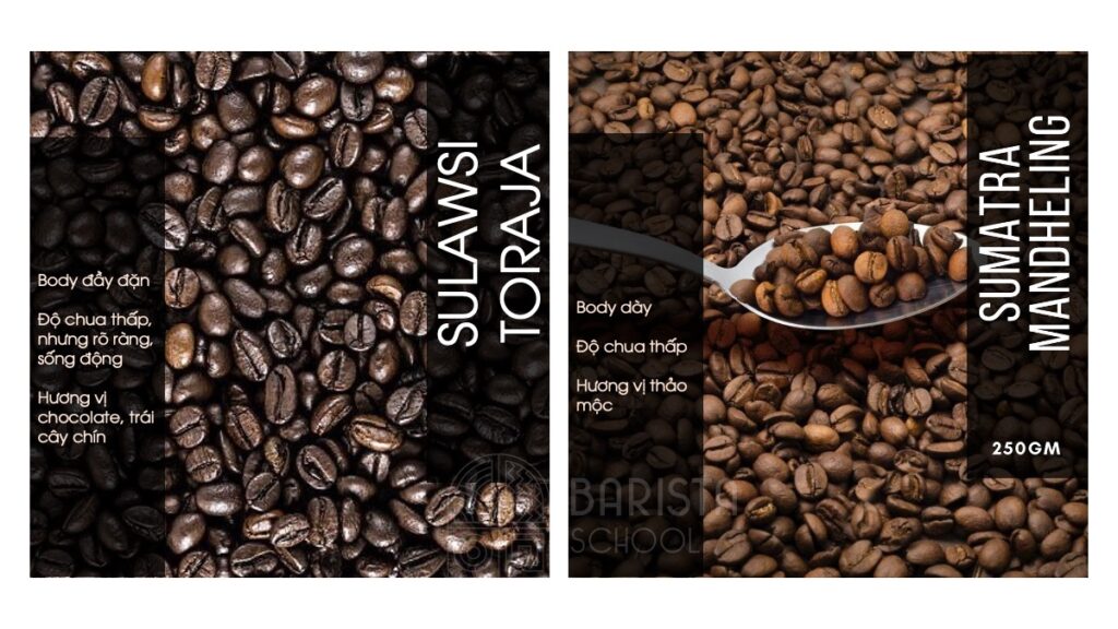 Sumatra và Sulawsi là hai loại cà phê ngon